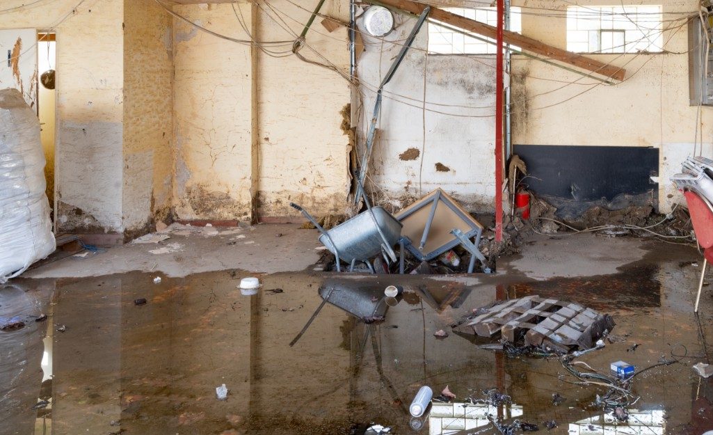 Restoration crew working in a flooded room